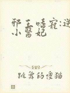 邪王嗜宠:逆天小医妃