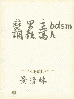 双男主bdsm调教高h