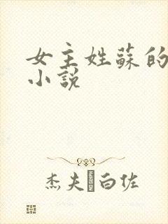 女主姓苏的现代小说