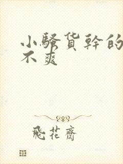 小骚货干的你爽不爽封面