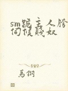 sm跪主人胯下伺候贱奴封面