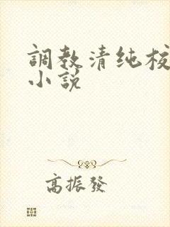 调教清纯校花h小说封面
