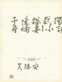 千亿总裁独宠替身娇妻l小说