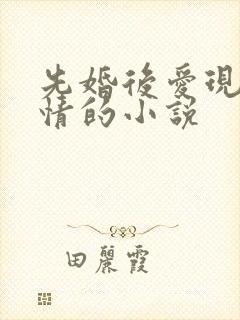 先婚后爱现代言情的小说