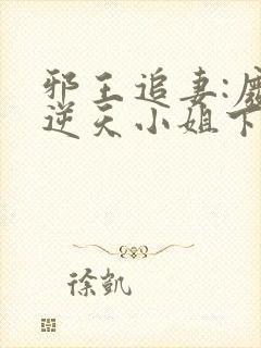 邪王追妻:废材逆天小姐下载