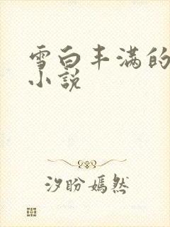 雪白丰满的乳房小说