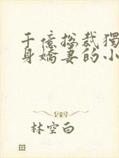 千亿总裁独宠替身娇妻的小说封面