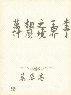 万相之王李洛到什么境界了