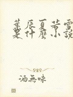 叶辰夏若雪孙怡是什么小说