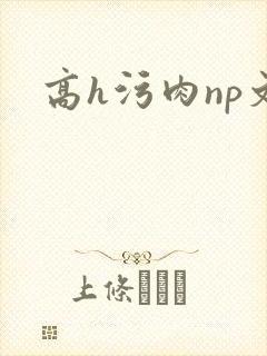 高h污肉np文