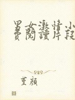 男女激情小说免费阅读片段合集