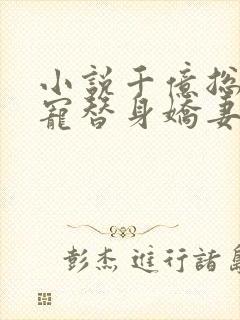 小说千亿总裁独宠替身娇妻完整版未删减小说