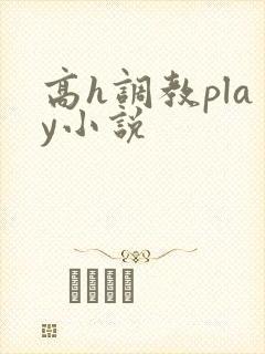 高h调教play小说