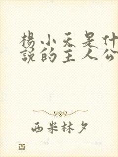 杨小天是什么小说的主人公名字