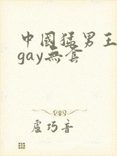 中国猛男王伦宝gay无套