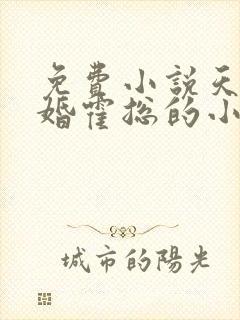 免费小说天价宠婚霍总的小娇妻