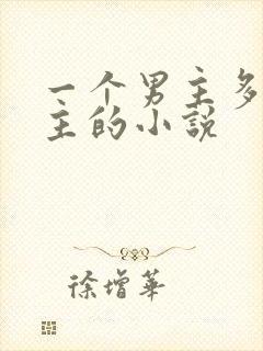 一个男主多个女主的小说封面