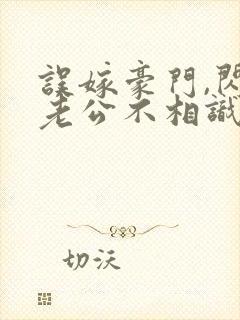 误嫁豪门,闪婚老公不相识 完本