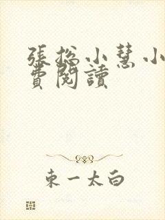 张总小慧小说免费阅读