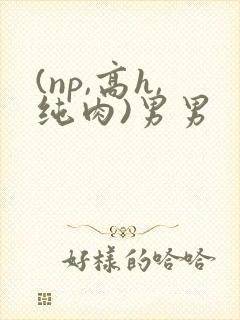 (np,高h,纯肉)男男