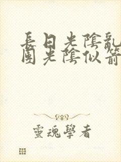 长日光阴乱作一团光阴似箭必读