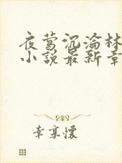 夜莺沉沦林晓阳小说最新章节更新时