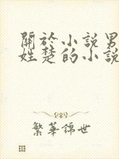 关于小说男主角姓楚的小说封面