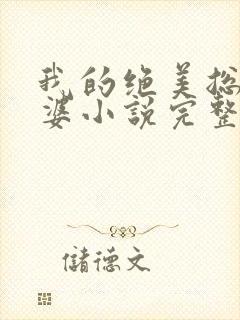 我的绝美总裁老婆小说完整版