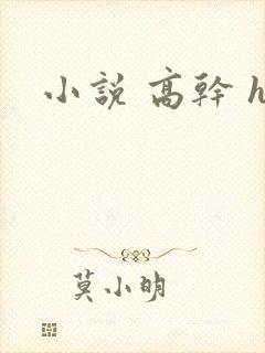小说 高干 h