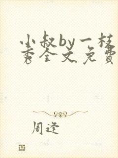 小叔by一枝独秀全文免费阅读笔趣阁最
