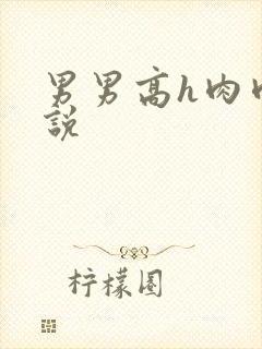 男男高h肉肉小说