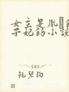 女主是胤礽的太子妃的小说