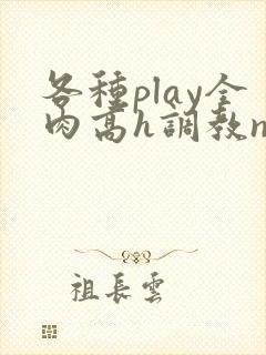 各种play全肉高h调教np封面