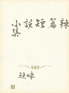 小说短篇辣文合集封面