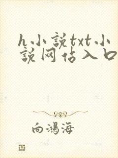 h小说txt小说网站入口