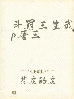 斗罗三生武魂cp唐三