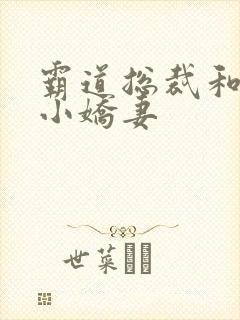 霸道总裁和他的小娇妻