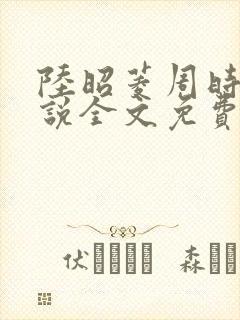 陆昭菱周时阅小说全文免费阅读封面