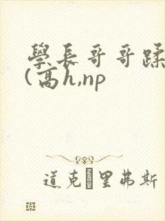 学长哥哥蹂躏你(高h,np