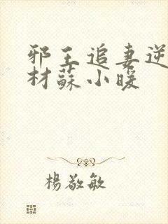 邪王追妻逆天废材苏小暖