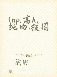 (np,高h,纯肉,校园