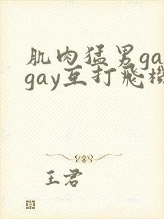 肌肉猛男gaygay互打飞机