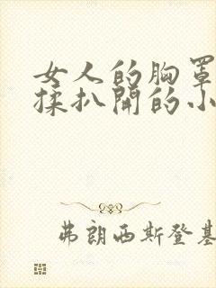 女人的胸罩被狂揉扒开的小说