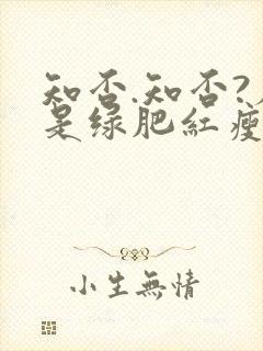 知否.知否?应是绿肥红瘦在线观看