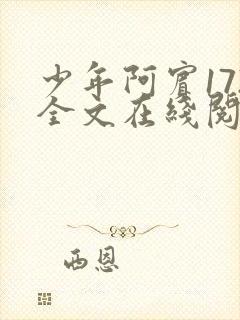 少年阿宾172全文在线阅读