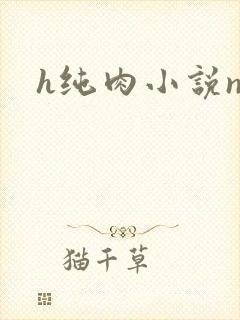 h纯肉小说np封面