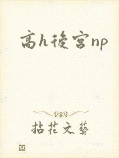 高h后宫np