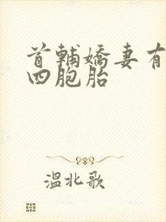 首辅娇妻有空间四胞胎封面