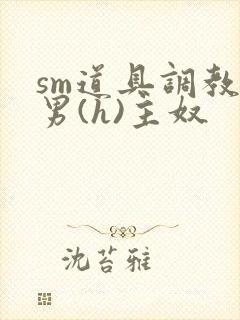 sm道具调教男男(h)主奴