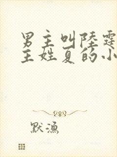 男主叫陆霆琛女主姓夏的小说